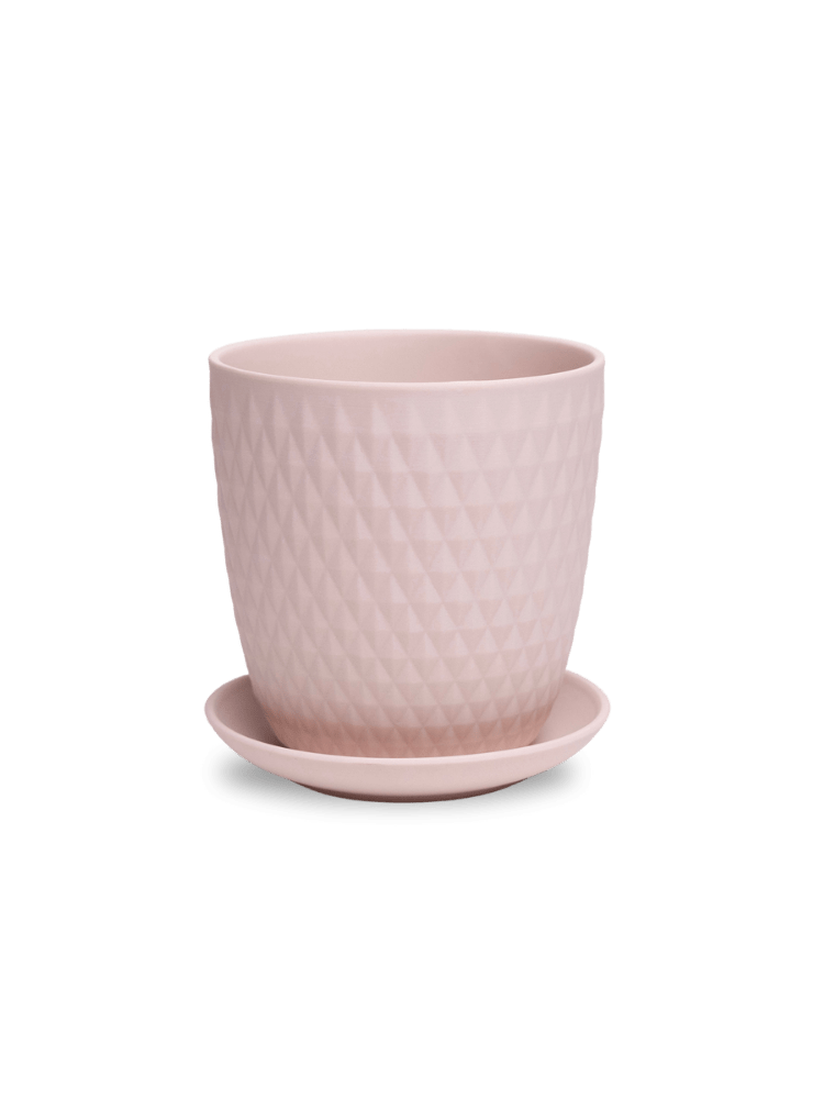 Virago 5" Porcelain Pot With Drainage Hole And Saucer - Chive Ceramics Studio - Pots - Chive Ceramics Studio