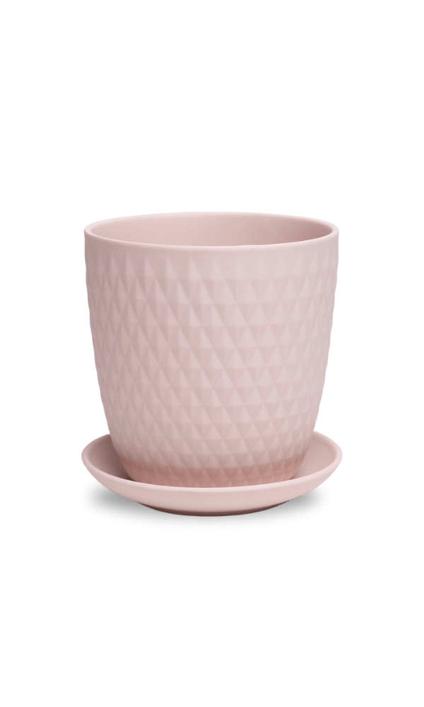 Virago 5" Porcelain Pot With Drainage Hole And Saucer - Chive Ceramics Studio - Pots - Chive Ceramics Studio