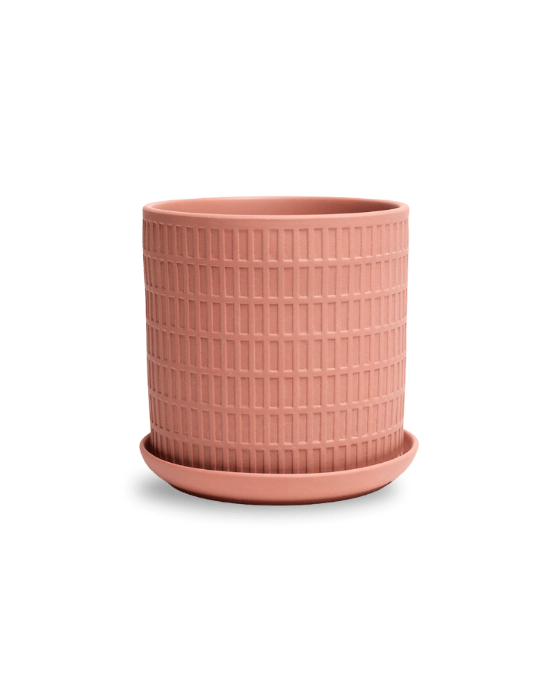 Virago 5" Porcelain Pot With Drainage Hole And Saucer - Chive Ceramics Studio - Pots - Chive Ceramics Studio