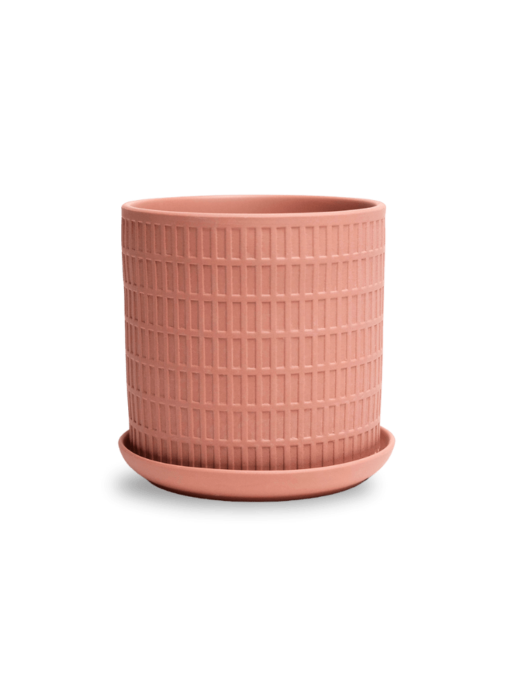 Virago 5" Porcelain Pot With Drainage Hole And Saucer - Chive Ceramics Studio - Pots - Chive Ceramics Studio