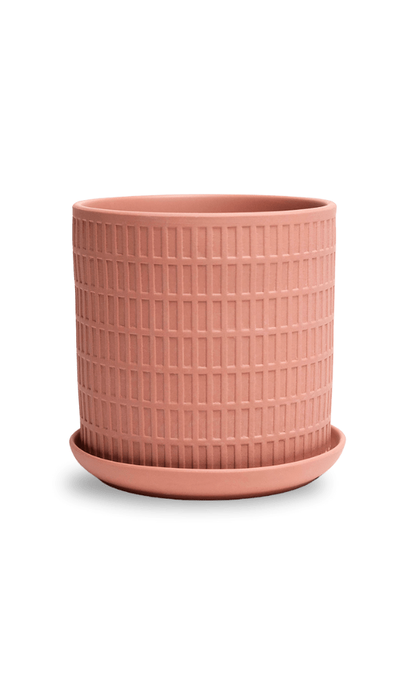 Virago 5" Porcelain Pot With Drainage Hole And Saucer - Chive Ceramics Studio - Pots - Chive Ceramics Studio