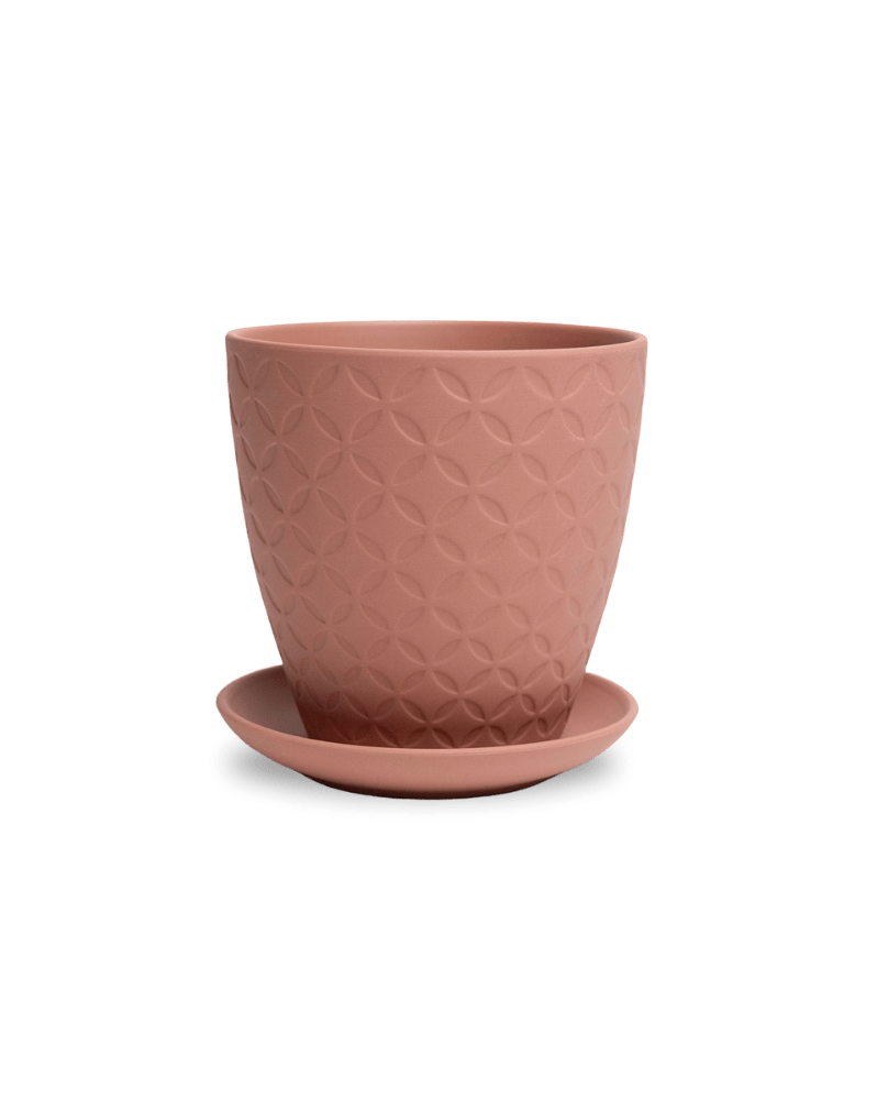 Virago 5" Porcelain Pot With Drainage Hole And Saucer - Chive Ceramics Studio - Pots - Chive Ceramics Studio