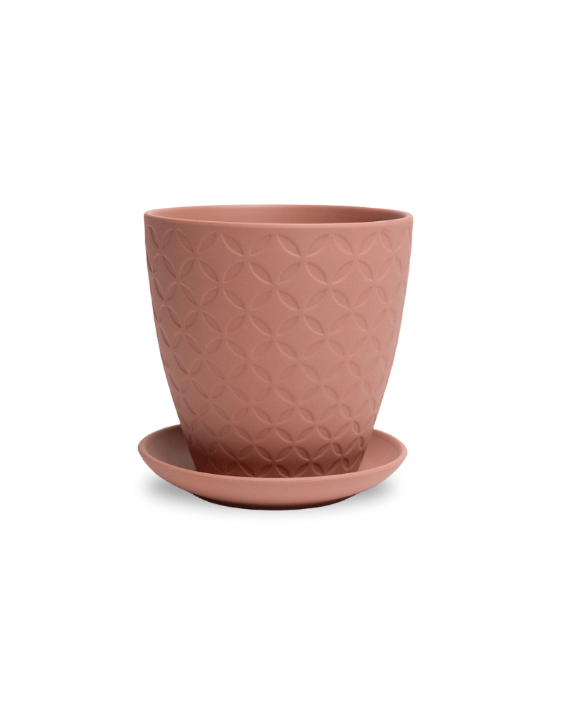 Virago 5" Porcelain Pot With Drainage Hole And Saucer - Chive Ceramics Studio - Pots - Chive Ceramics Studio