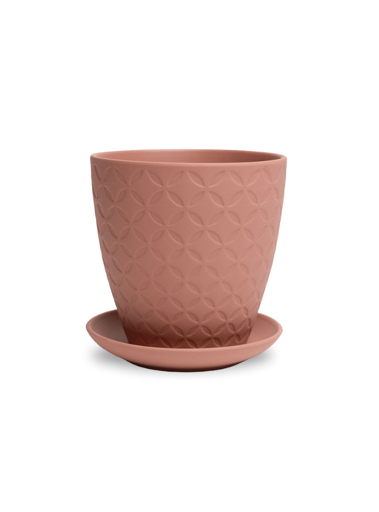 Virago 5" Porcelain Pot With Drainage Hole And Saucer - Chive Ceramics Studio - Pots - Chive Ceramics Studio