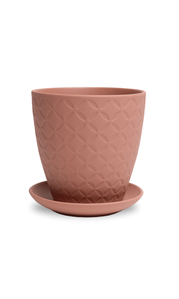 Virago 5" Porcelain Pot With Drainage Hole And Saucer - Chive Ceramics Studio - Pots - Chive Ceramics Studio