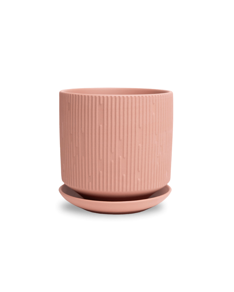 Virago 5" Porcelain Pot With Drainage Hole And Saucer - Chive Ceramics Studio - Pots - Chive Ceramics Studio