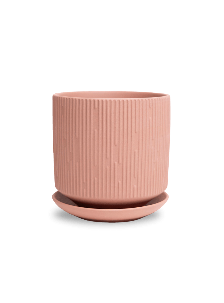 Virago 5" Porcelain Pot With Drainage Hole And Saucer - Chive Ceramics Studio - Pots - Chive Ceramics Studio