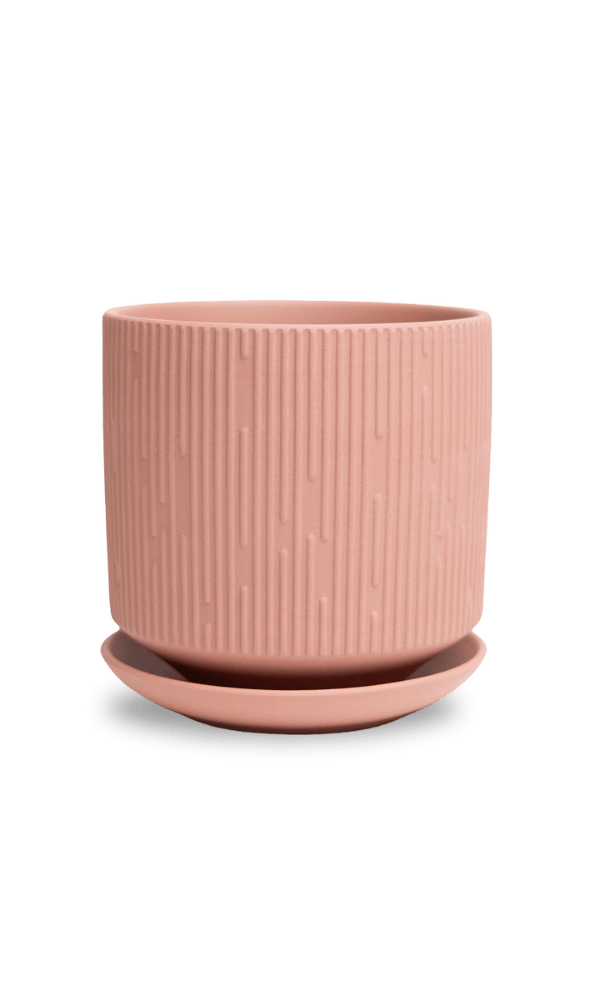 Virago 5" Porcelain Pot With Drainage Hole And Saucer - Chive Ceramics Studio - Pots - Chive Ceramics Studio