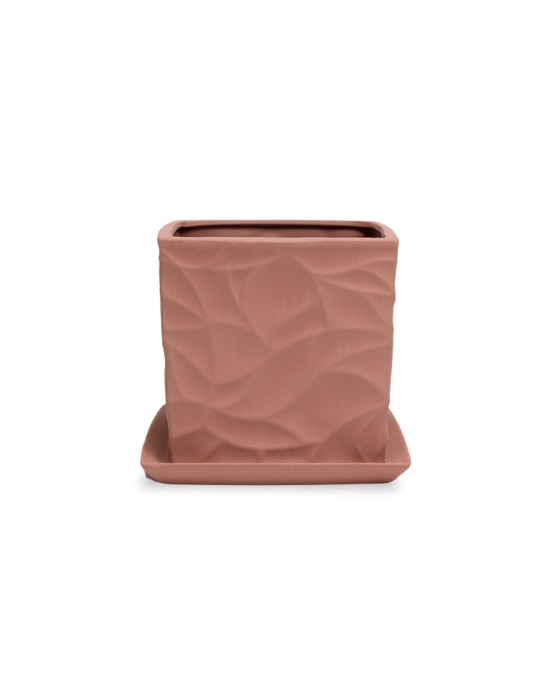 Virago 5" Porcelain Pot With Drainage Hole And Saucer - Chive Ceramics Studio - Pots - Chive Ceramics Studio