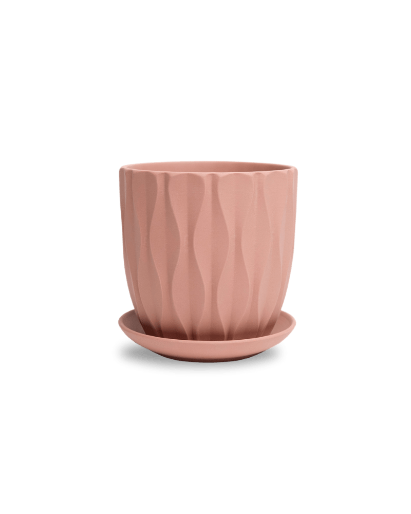 Virago 5" Porcelain Pot With Drainage Hole And Saucer - Chive Ceramics Studio - Pots - Chive Ceramics Studio