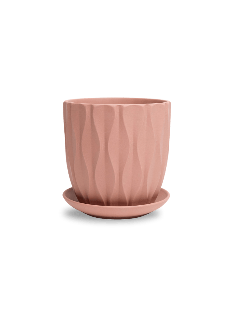 Virago 5" Porcelain Pot With Drainage Hole And Saucer - Chive Ceramics Studio - Pots - Chive Ceramics Studio