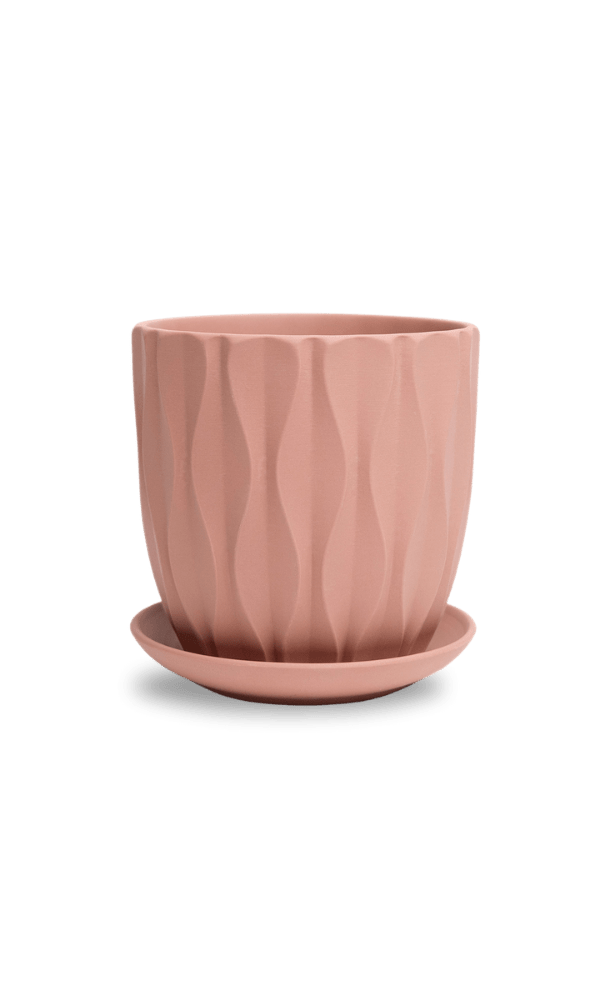 Virago 5" Porcelain Pot With Drainage Hole And Saucer - Chive Ceramics Studio - Pots - Chive Ceramics Studio