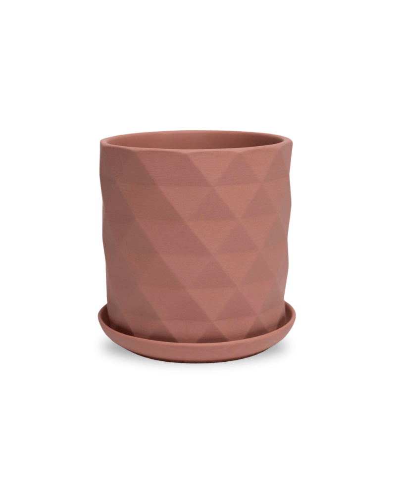 Virago 5" Porcelain Pot With Drainage Hole And Saucer - Chive Ceramics Studio - Pots - Chive Ceramics Studio