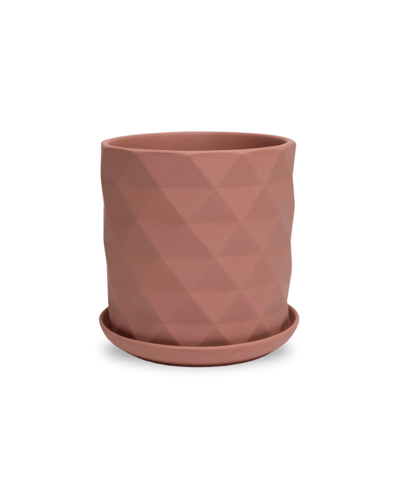 Virago 5" Porcelain Pot With Drainage Hole And Saucer - Chive Ceramics Studio - Pots - Chive Ceramics Studio