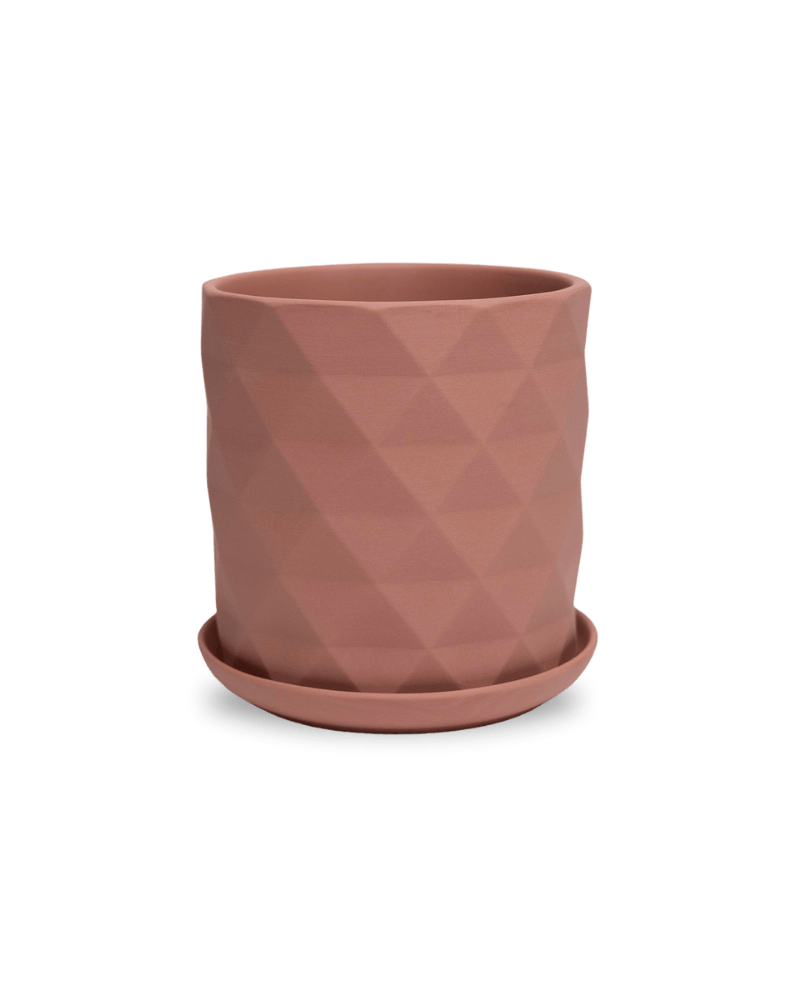 Virago 5" Porcelain Pot With Drainage Hole And Saucer - Chive Ceramics Studio - Pots - Chive Ceramics Studio