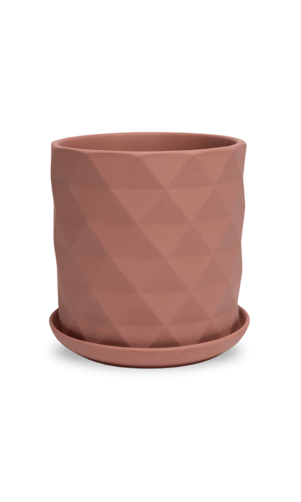 Virago 5" Porcelain Pot With Drainage Hole And Saucer - Chive Ceramics Studio - Pots - Chive Ceramics Studio