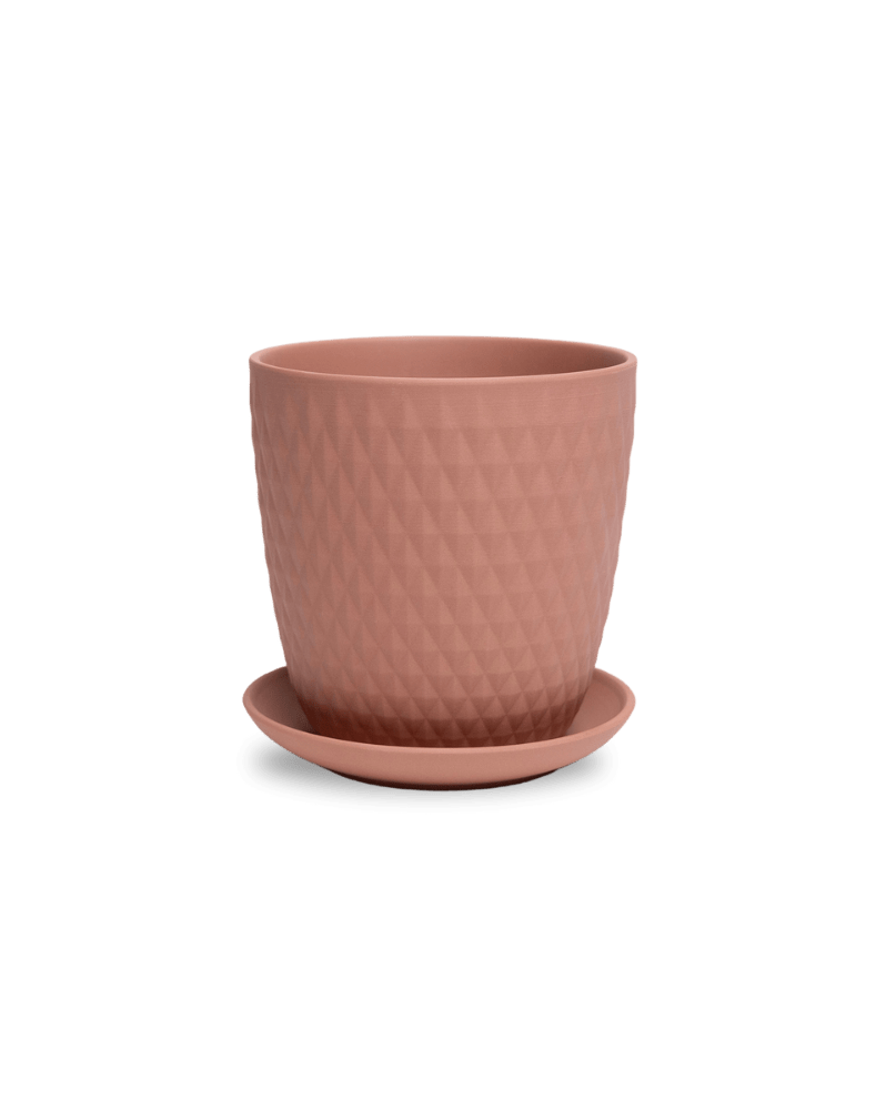 Virago 5" Porcelain Pot With Drainage Hole And Saucer - Chive Ceramics Studio - Pots - Chive Ceramics Studio