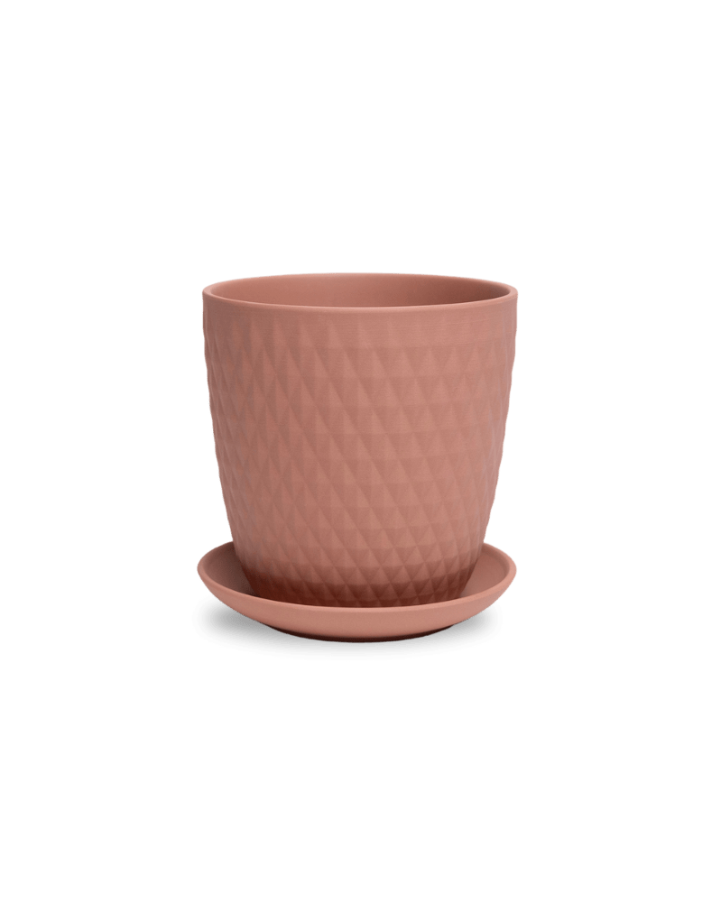 Virago 5" Porcelain Pot With Drainage Hole And Saucer - Chive Ceramics Studio - Pots - Chive Ceramics Studio