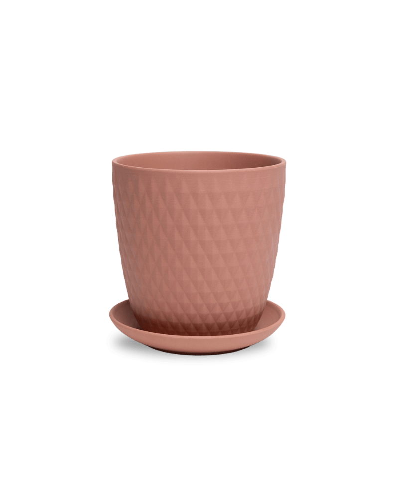 Virago 5" Porcelain Pot With Drainage Hole And Saucer - Chive Ceramics Studio - Pots - Chive Ceramics Studio