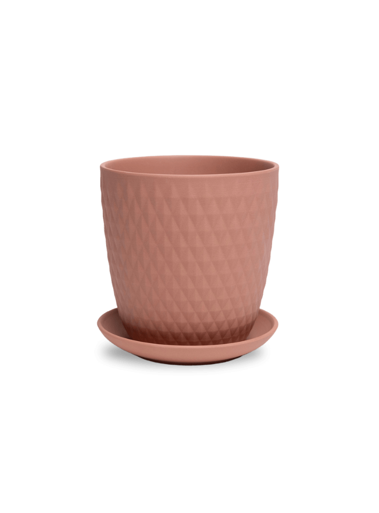 Virago 5" Porcelain Pot With Drainage Hole And Saucer - Chive Ceramics Studio - Pots - Chive Ceramics Studio