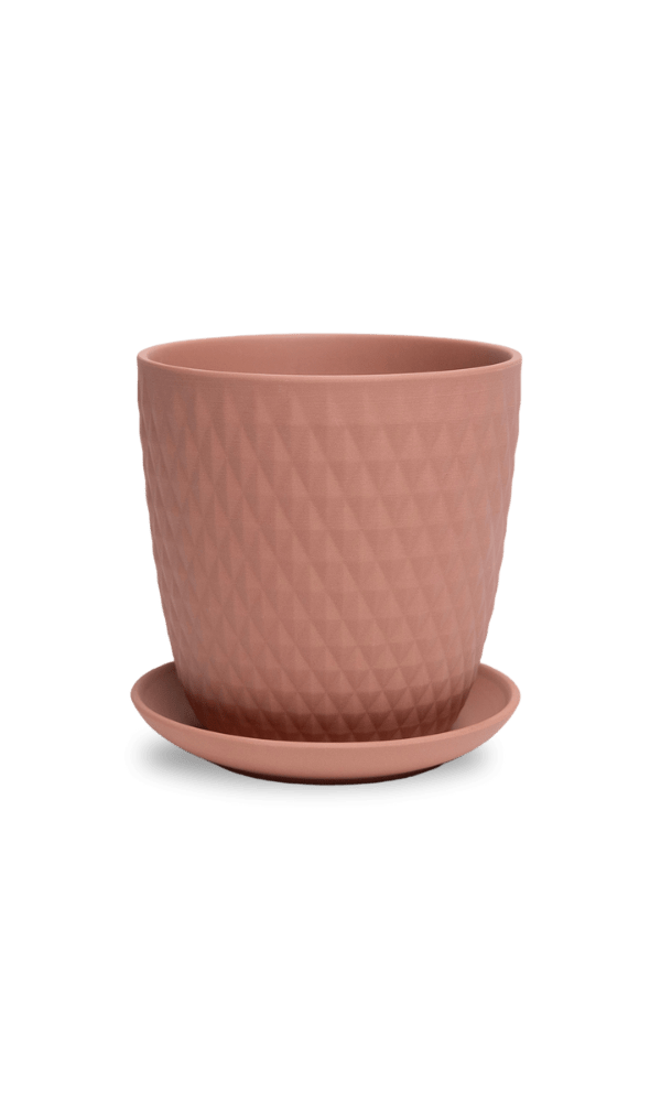 Virago 5" Porcelain Pot With Drainage Hole And Saucer - Chive Ceramics Studio - Pots - Chive Ceramics Studio