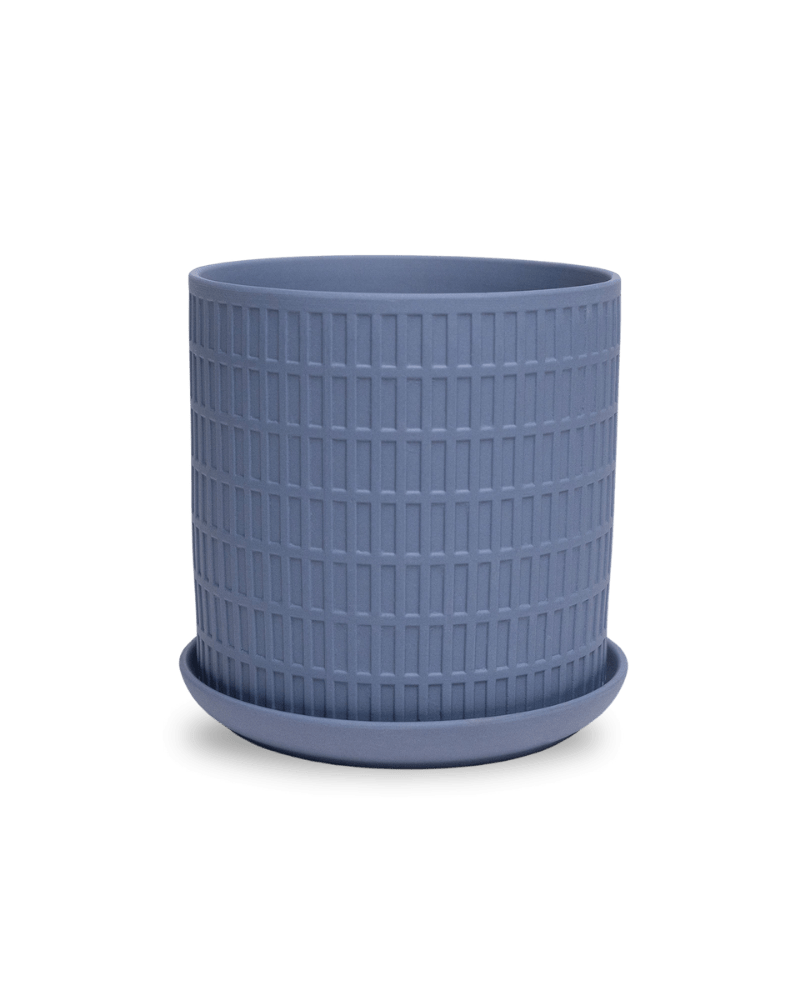 Virago 5" Porcelain Pot With Drainage Hole And Saucer - Chive Ceramics Studio - Pots - Chive Ceramics Studio