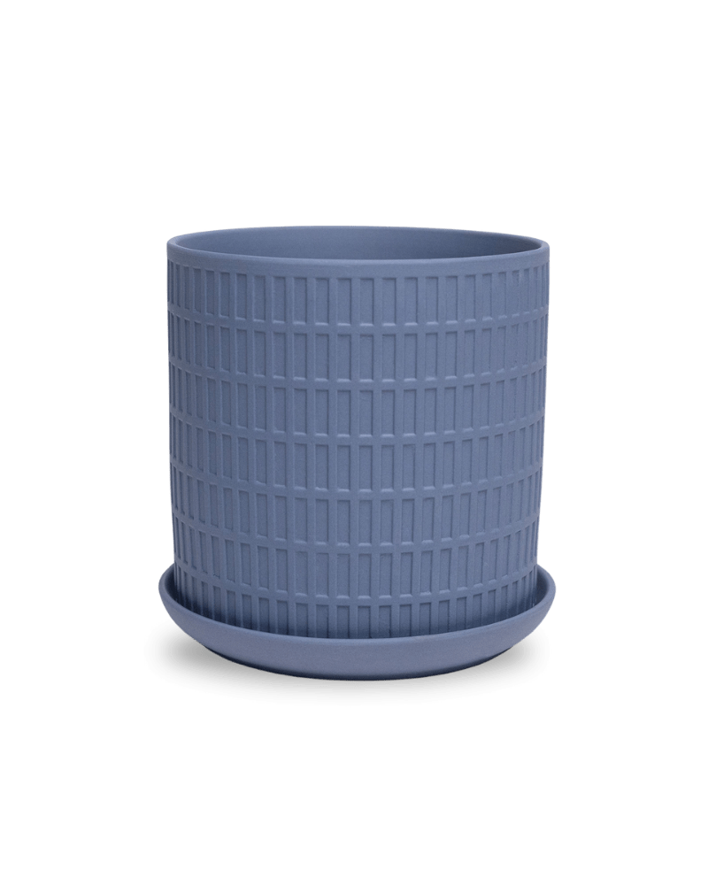 Virago 5" Porcelain Pot With Drainage Hole And Saucer - Chive Ceramics Studio - Pots - Chive Ceramics Studio