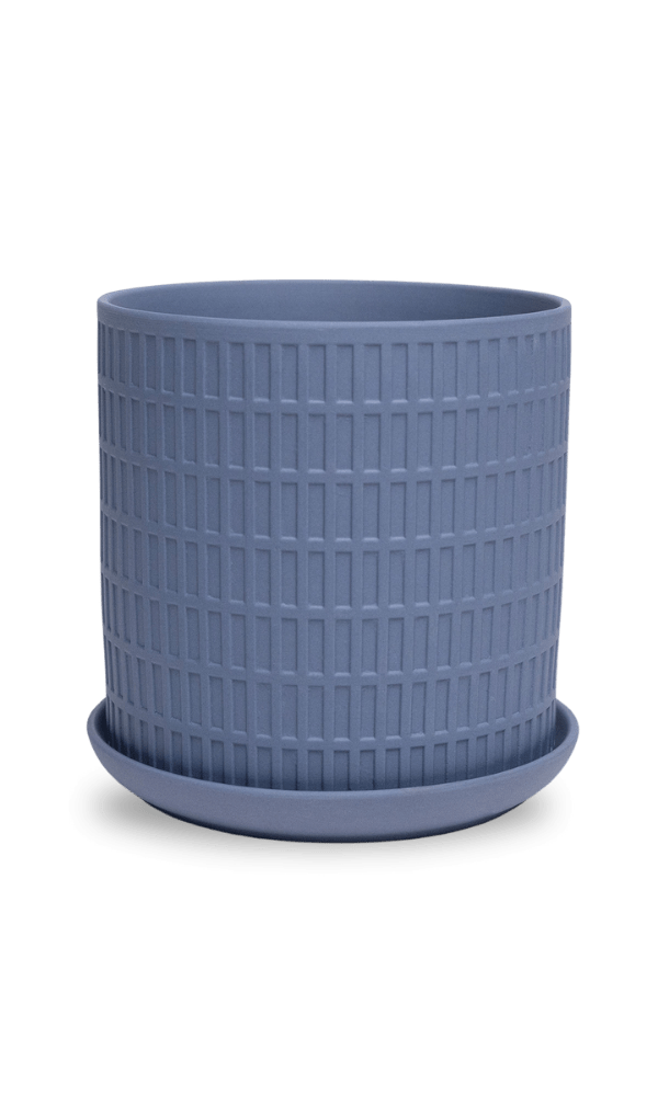 Virago 5" Porcelain Pot With Drainage Hole And Saucer - Chive Ceramics Studio - Pots - Chive Ceramics Studio