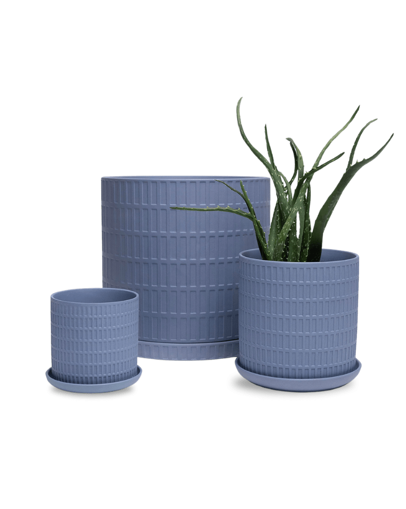 Virago 5" Porcelain Pot With Drainage Hole And Saucer - Chive Ceramics Studio - Pots - Chive Ceramics Studio