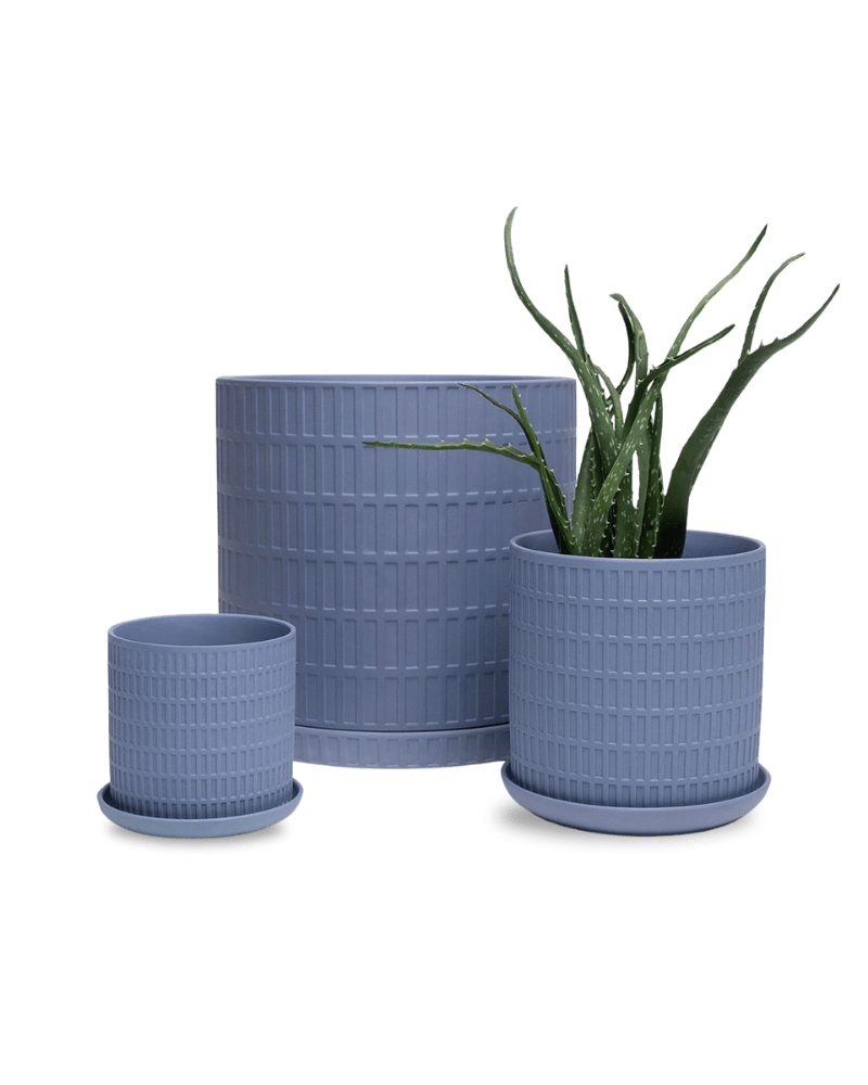 Virago 5" Porcelain Pot With Drainage Hole And Saucer - Chive Ceramics Studio - Pots - Chive Ceramics Studio