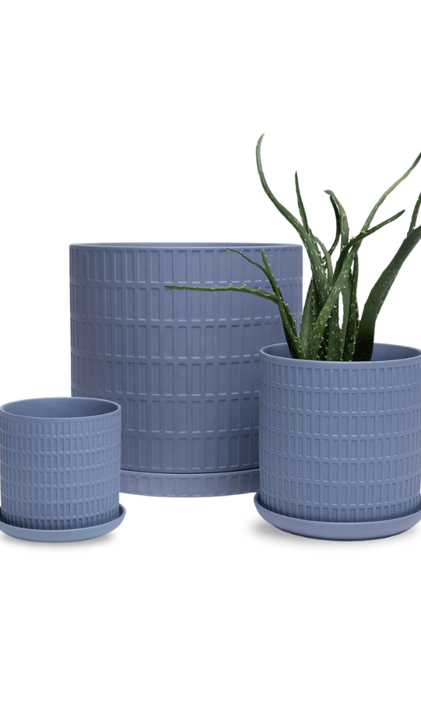 Virago 5" Porcelain Pot With Drainage Hole And Saucer - Chive Ceramics Studio - Pots - Chive Ceramics Studio