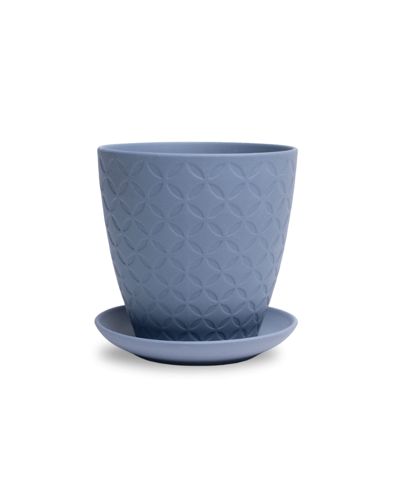 Virago 5" Porcelain Pot With Drainage Hole And Saucer - Chive Ceramics Studio - Pots - Chive Ceramics Studio