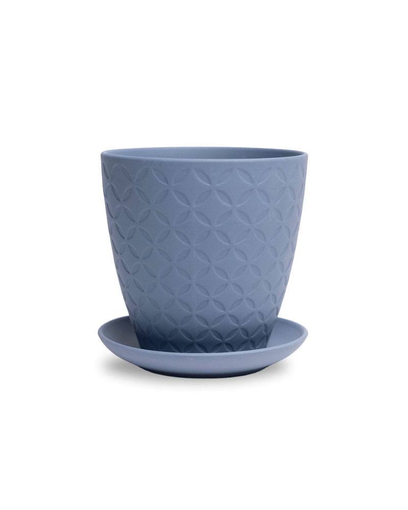 Virago 5" Porcelain Pot With Drainage Hole And Saucer - Chive Ceramics Studio - Pots - Chive Ceramics Studio