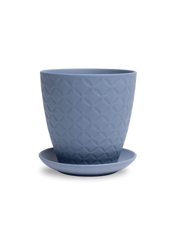 Virago 5" Porcelain Pot With Drainage Hole And Saucer - Chive Ceramics Studio - Pots - Chive Ceramics Studio