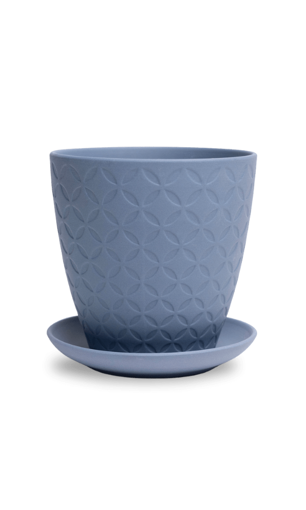 Virago 5" Porcelain Pot With Drainage Hole And Saucer - Chive Ceramics Studio - Pots - Chive Ceramics Studio