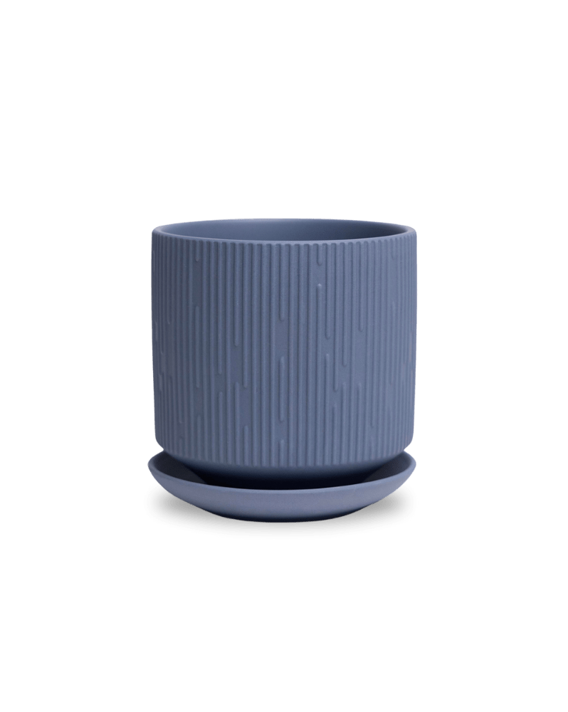 Virago 5" Porcelain Pot With Drainage Hole And Saucer - Chive Ceramics Studio - Pots - Chive Ceramics Studio