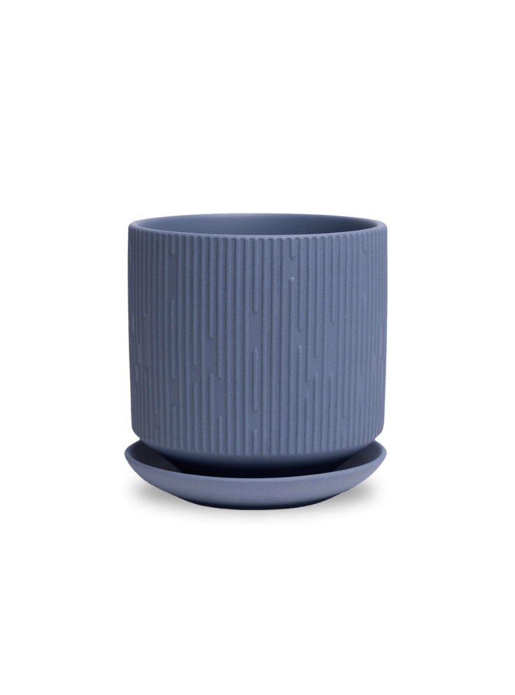 Virago 5" Porcelain Pot With Drainage Hole And Saucer - Chive Ceramics Studio - Pots - Chive Ceramics Studio