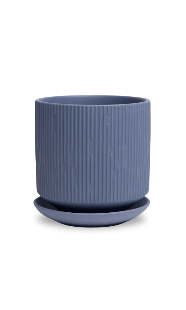 Virago 5" Porcelain Pot With Drainage Hole And Saucer - Chive Ceramics Studio - Pots - Chive Ceramics Studio