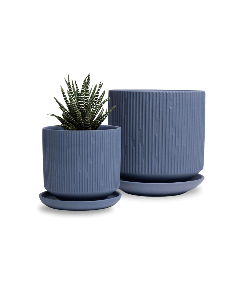 Virago 5" Porcelain Pot With Drainage Hole And Saucer - Chive Ceramics Studio - Pots - Chive Ceramics Studio