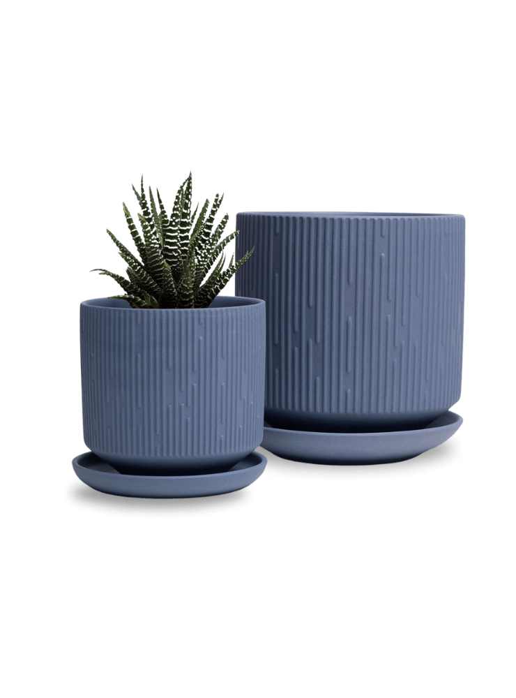 Virago 5" Porcelain Pot With Drainage Hole And Saucer - Chive Ceramics Studio - Pots - Chive Ceramics Studio