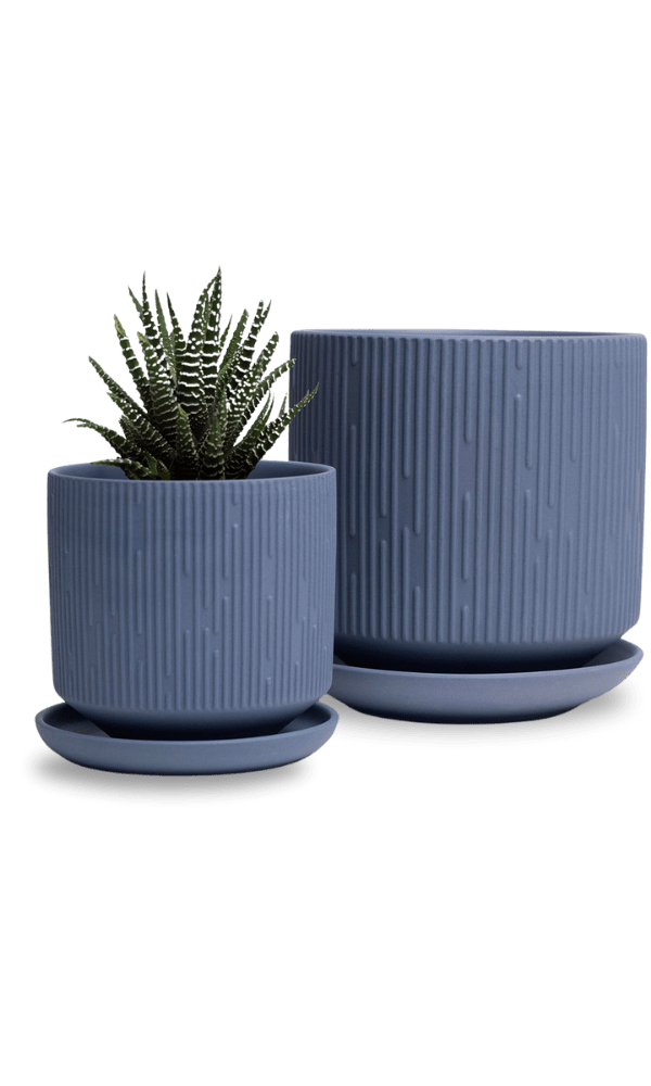 Virago 5" Porcelain Pot With Drainage Hole And Saucer - Chive Ceramics Studio - Pots - Chive Ceramics Studio