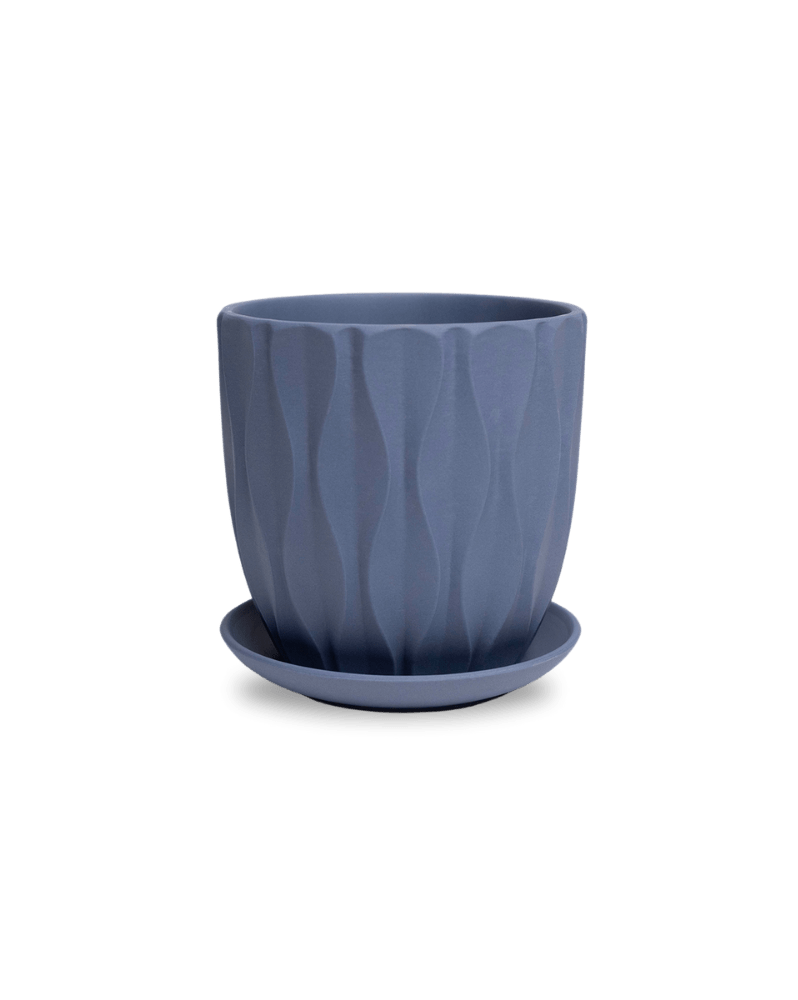 Virago 5" Porcelain Pot With Drainage Hole And Saucer - Chive Ceramics Studio - Pots - Chive Ceramics Studio