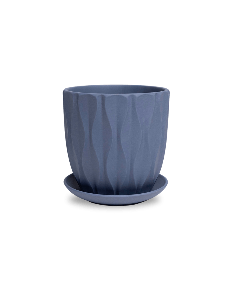 Virago 5" Porcelain Pot With Drainage Hole And Saucer - Chive Ceramics Studio - Pots - Chive Ceramics Studio