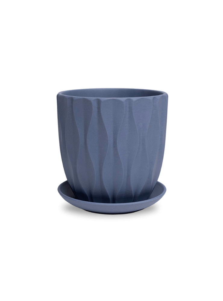 Virago 5" Porcelain Pot With Drainage Hole And Saucer - Chive Ceramics Studio - Pots - Chive Ceramics Studio