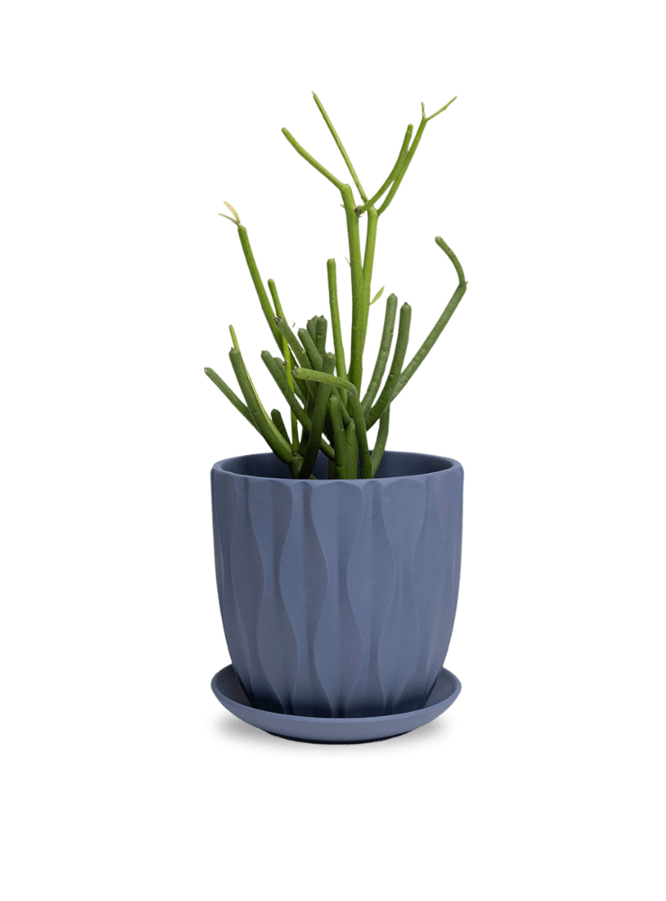 Virago 5" Porcelain Pot With Drainage Hole And Saucer - Chive Ceramics Studio - Pots - Chive Ceramics Studio