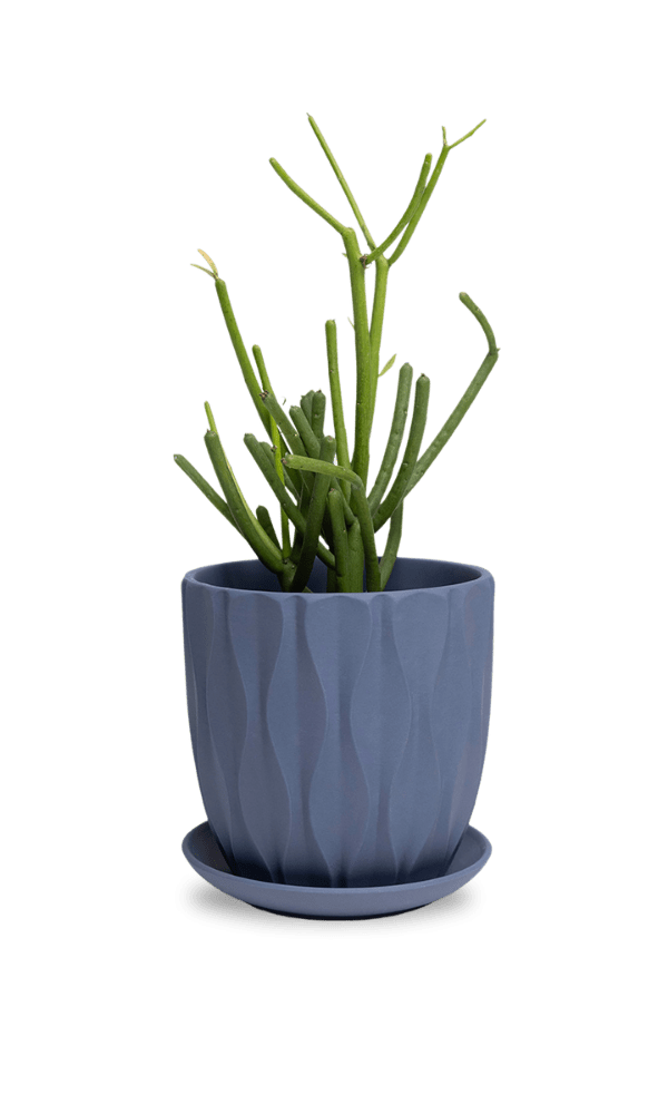 Virago 5" Porcelain Pot With Drainage Hole And Saucer - Chive Ceramics Studio - Pots - Chive Ceramics Studio