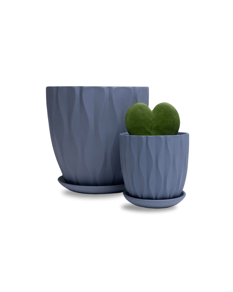 Virago 5" Porcelain Pot With Drainage Hole And Saucer - Chive Ceramics Studio - Pots - Chive Ceramics Studio