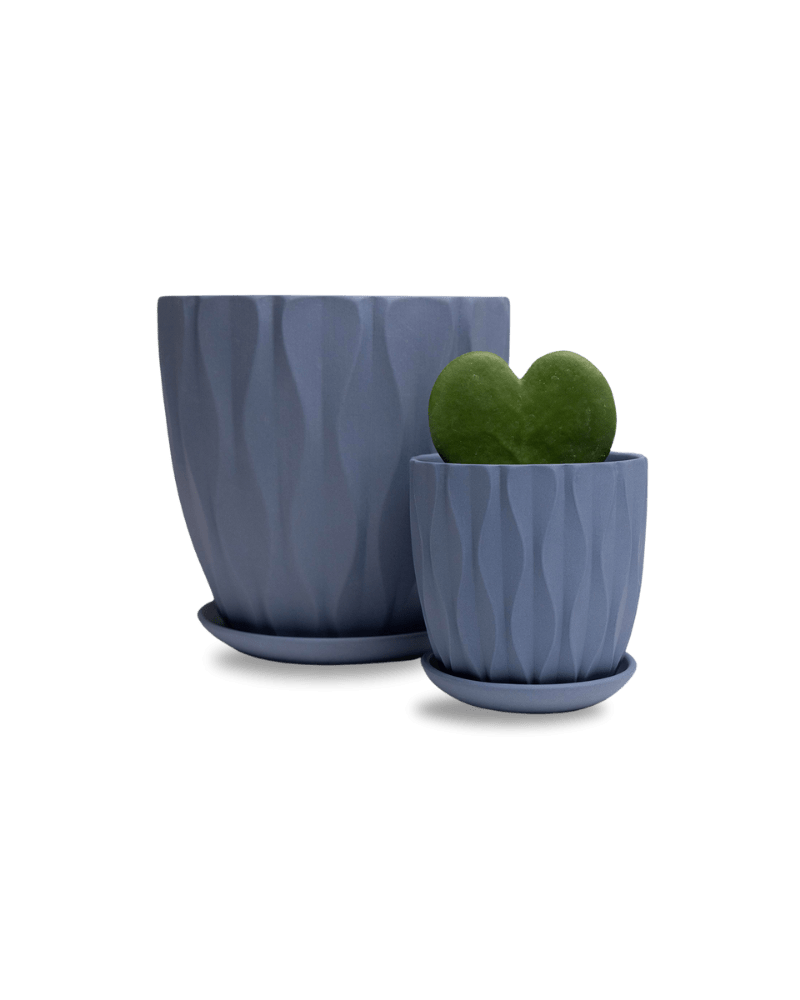 Virago 5" Porcelain Pot With Drainage Hole And Saucer - Chive Ceramics Studio - Pots - Chive Ceramics Studio