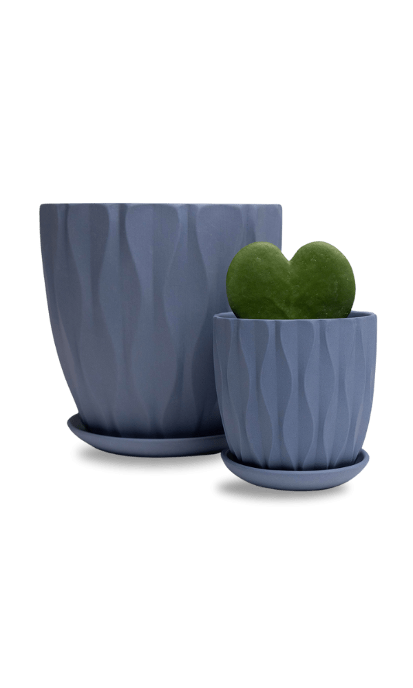 Virago 5" Porcelain Pot With Drainage Hole And Saucer - Chive Ceramics Studio - Pots - Chive Ceramics Studio