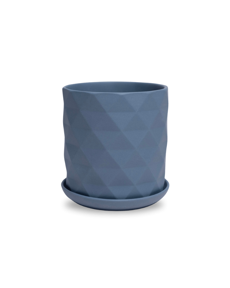 Virago 5" Porcelain Pot With Drainage Hole And Saucer - Chive Ceramics Studio - Pots - Chive Ceramics Studio